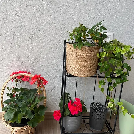 Vila Beachfront Athina