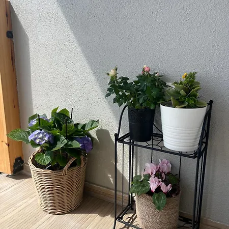 Villa Beachfront Athina *