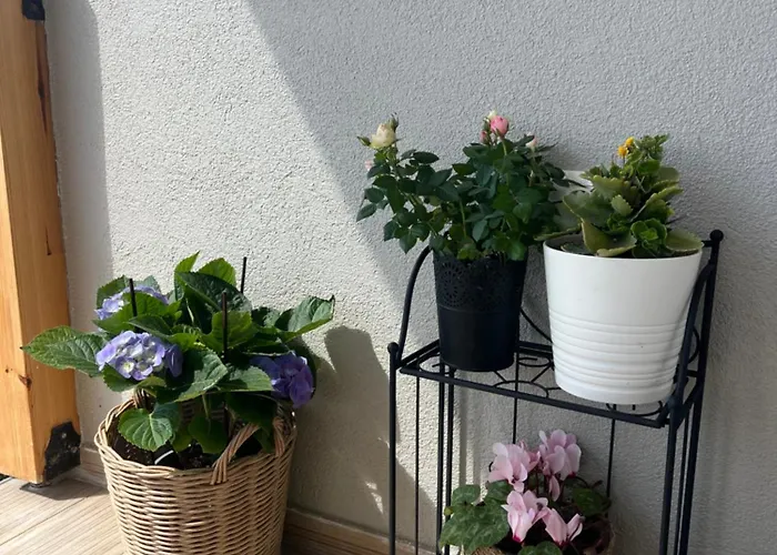 Villa Beachfront Athina *