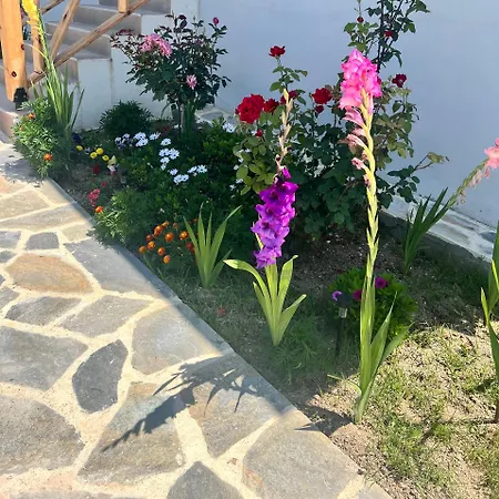 Beachfront Athina Vergia